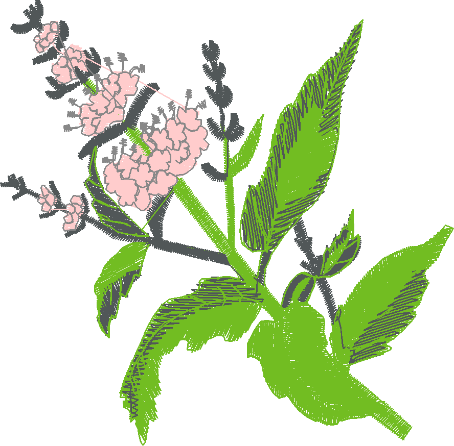 Fruit & Vegetables 17  (1)