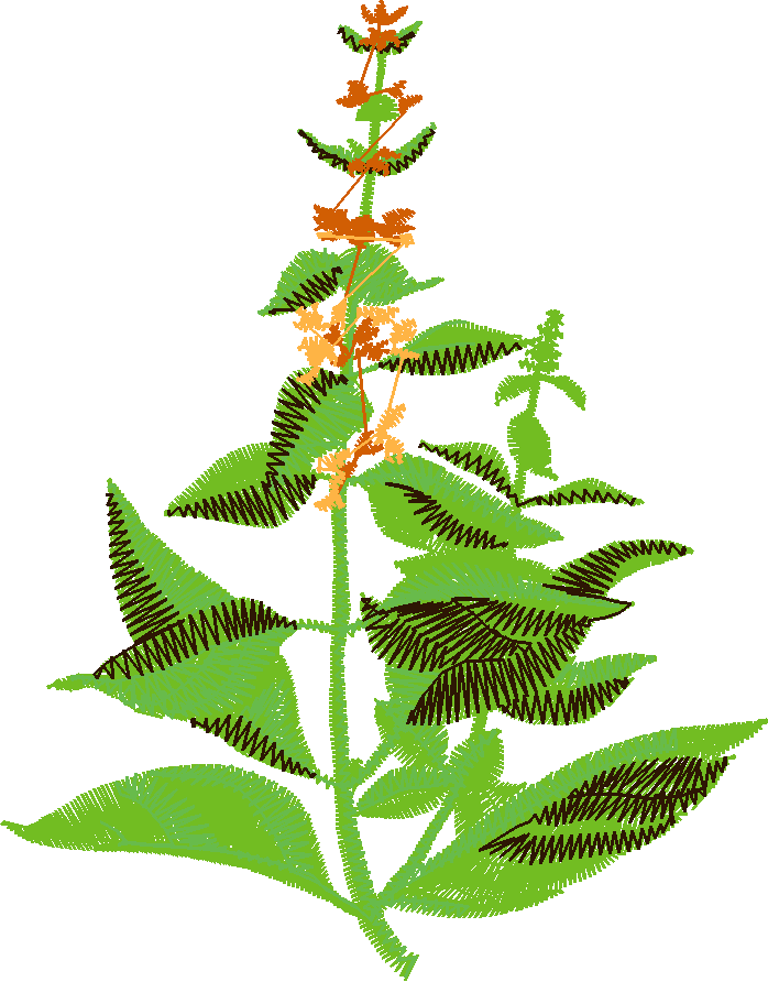 Fruit & Vegetables 17  (10)