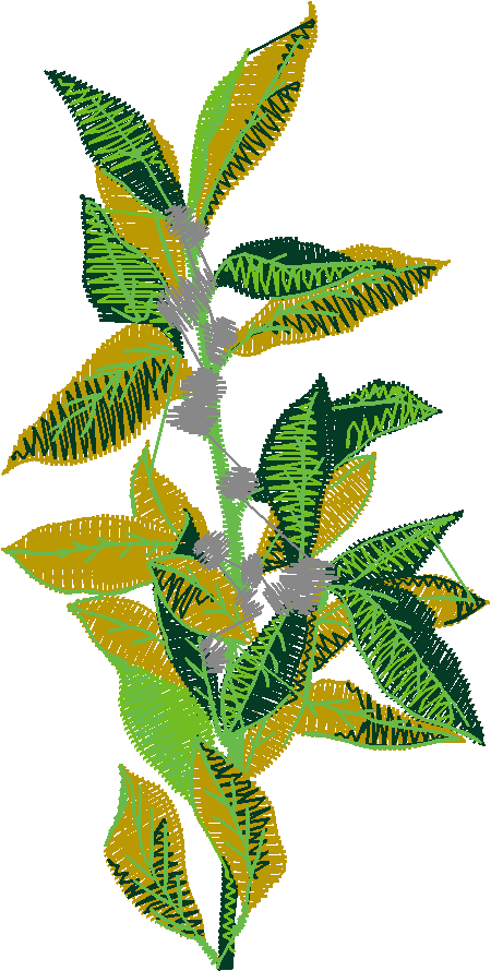 Fruit & Vegetables 17  (11)