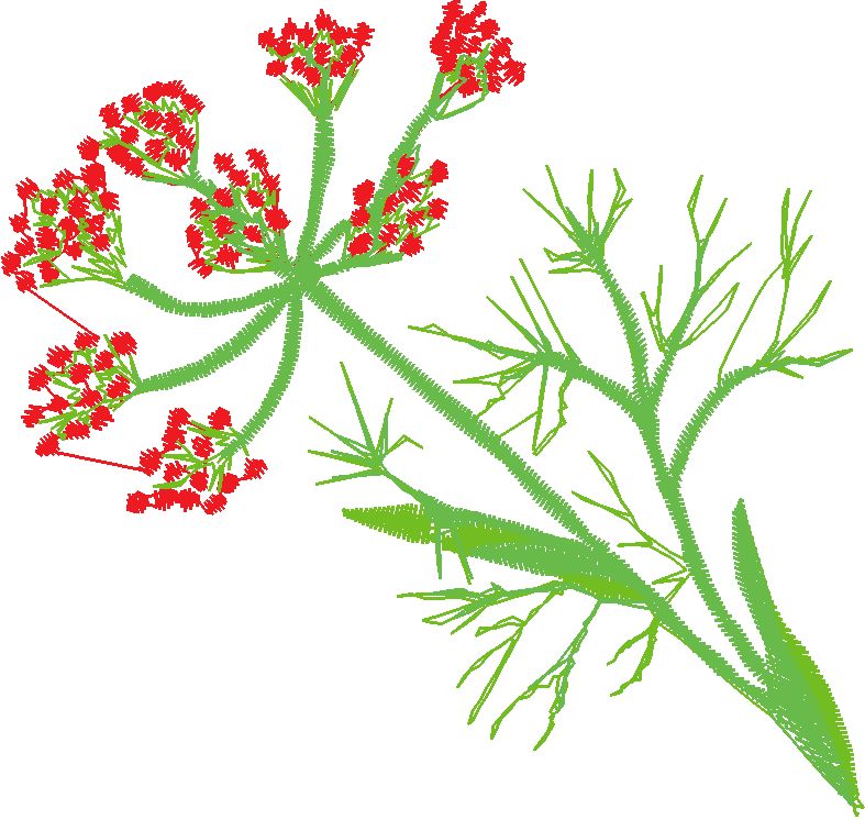 Fruit & Vegetables 17  (12)