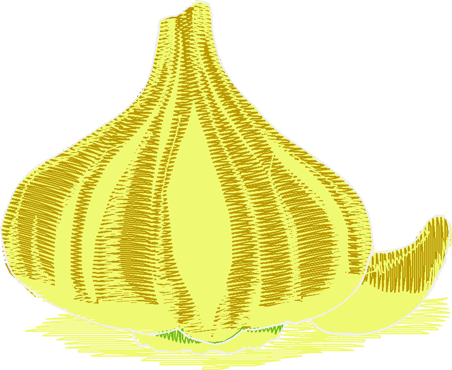 Fruit & Vegetables 17  (14)