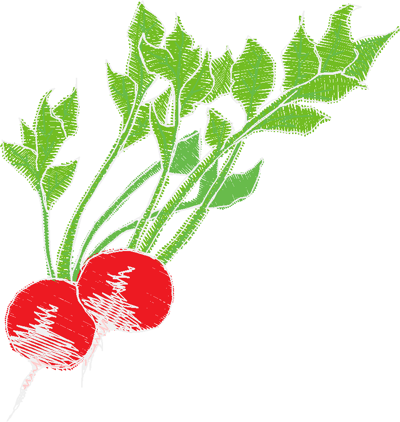 Fruit & Vegetables 17  (16)