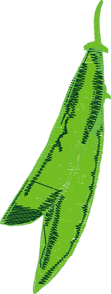 Fruit & Vegetables 17  (17)