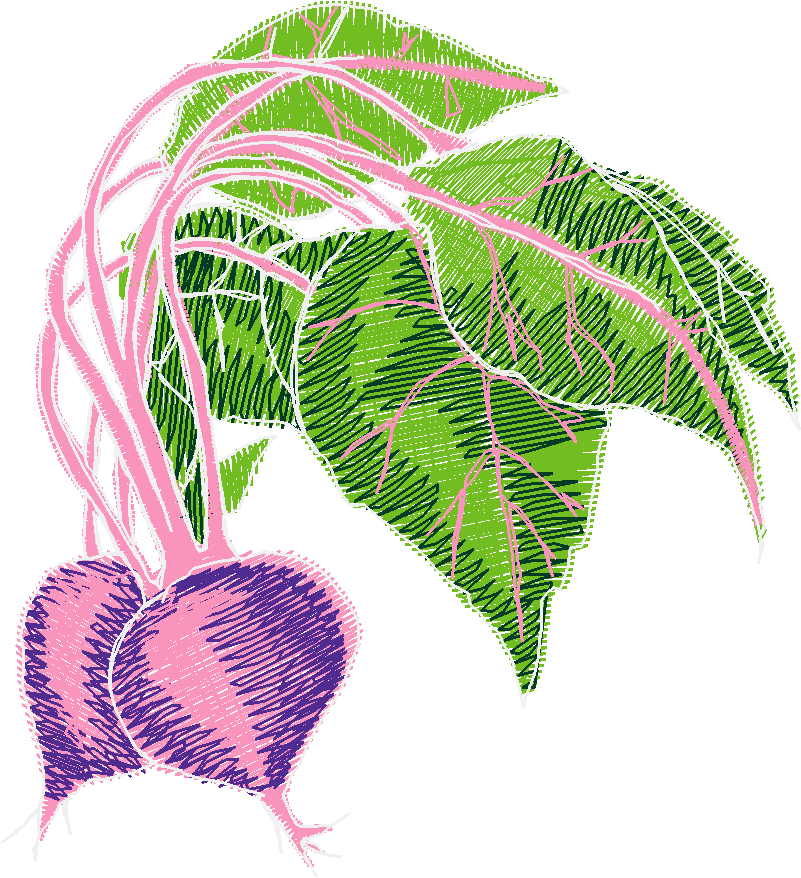 Fruit & Vegetables 17  (18)