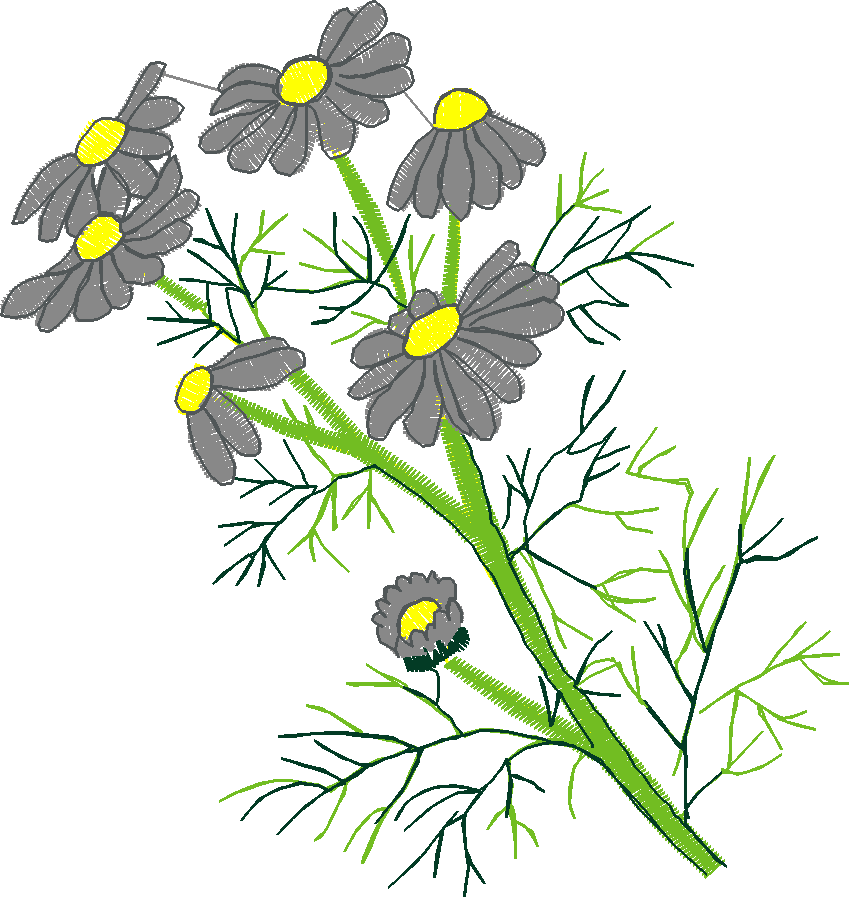 Fruit & Vegetables 17  (2)