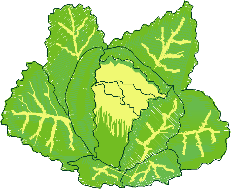 Fruit & Vegetables 17  (20)