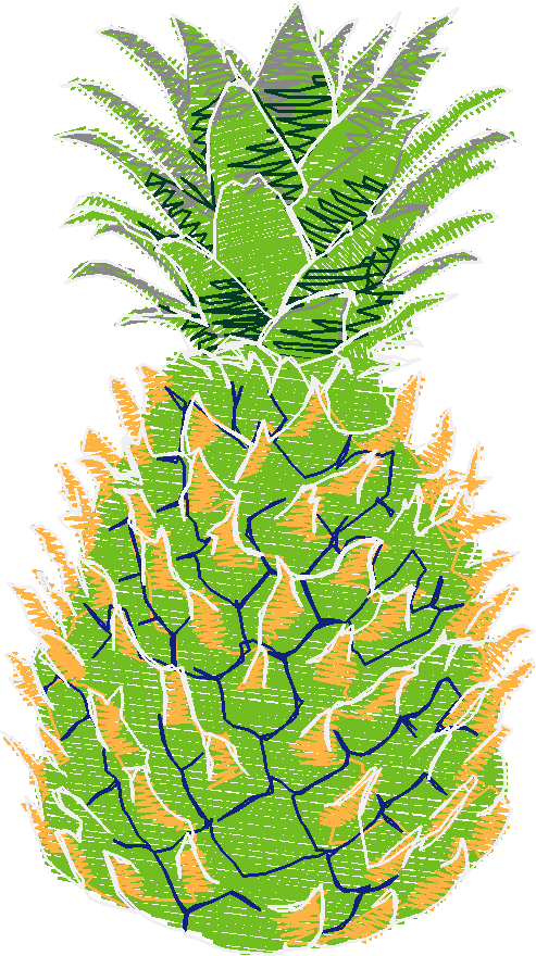 Fruit & Vegetables 17  (22)