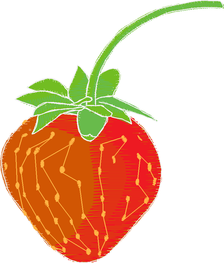 Fruit & Vegetables 17  (23)