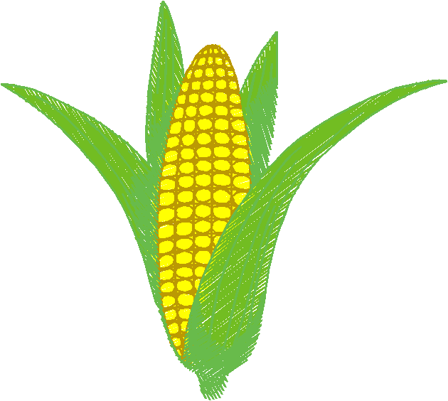 Fruit & Vegetables 17  (27)