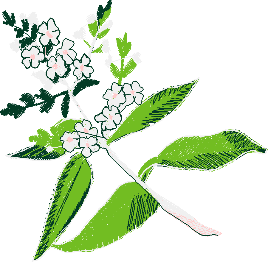 Fruit & Vegetables 17  (3)