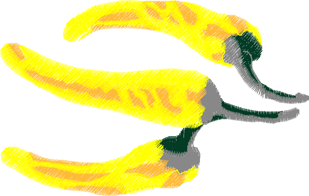 Fruit & Vegetables 17  (30)