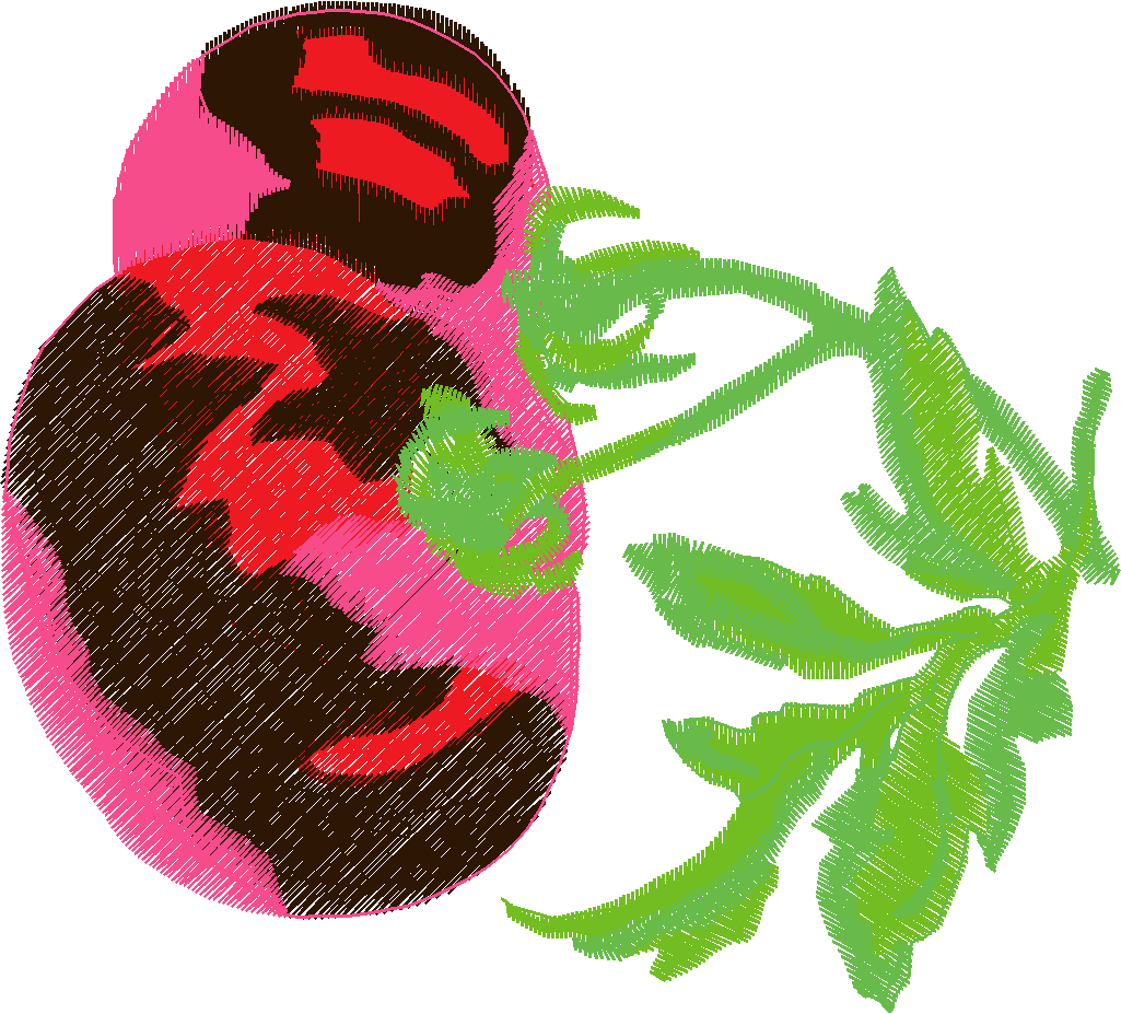 Fruit & Vegetables 17  (31)