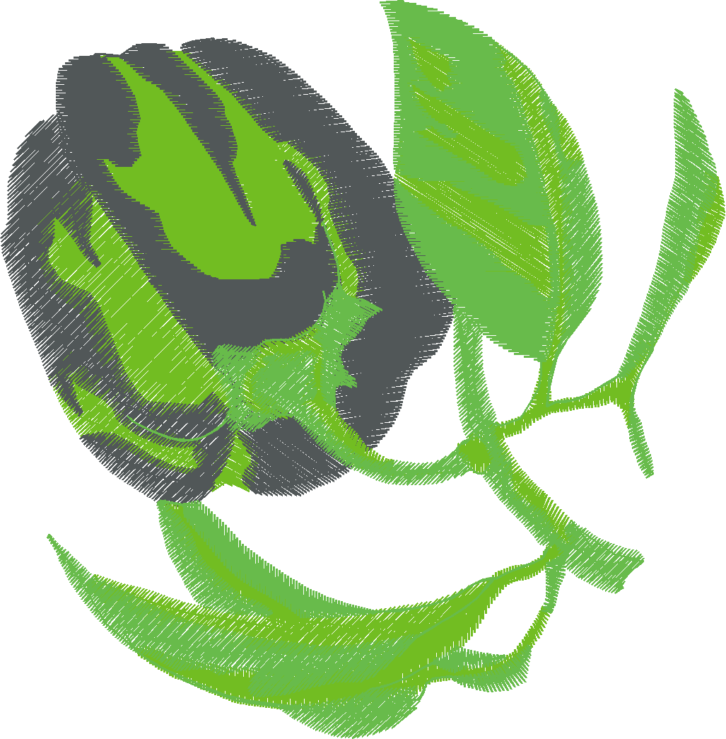 Fruit & Vegetables 17  (33)