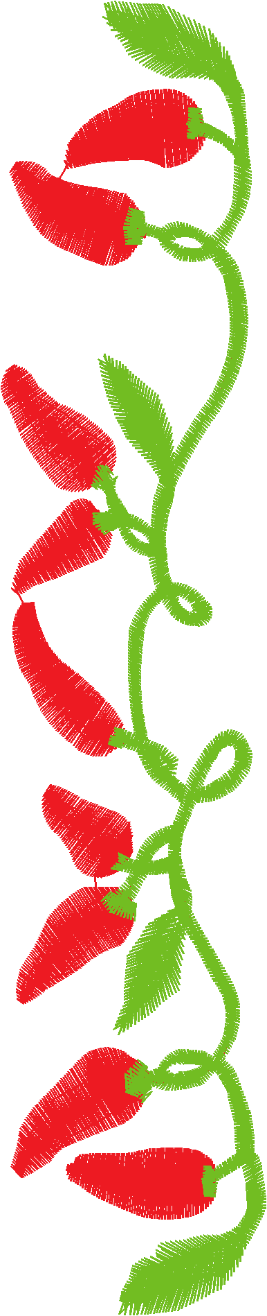 Fruit & Vegetables 17  (35)