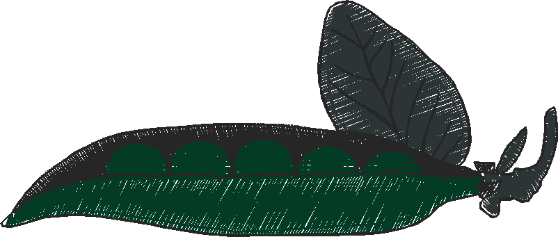 Fruit & Vegetables 17  (38)