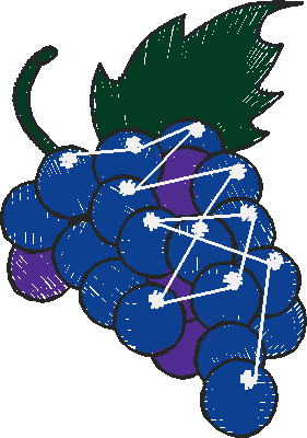 Fruit & Vegetables 17  (39)