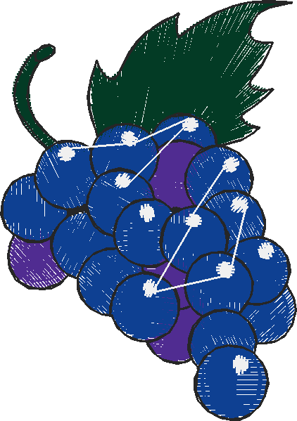 Fruit & Vegetables 17  (40)