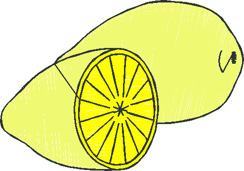 Fruit & Vegetables 17  (42)