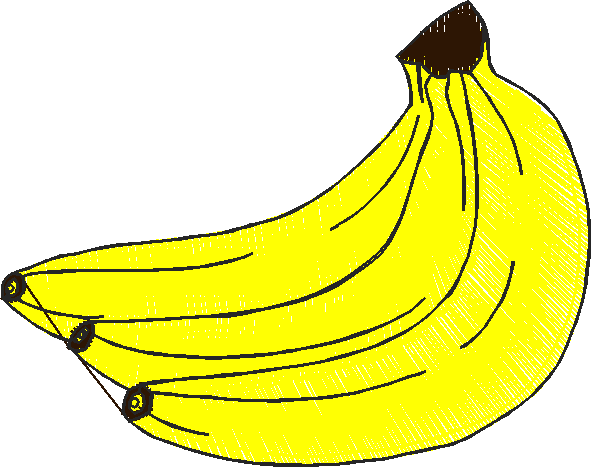 Fruit & Vegetables 17  (43)