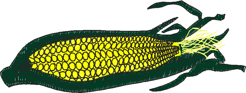 Fruit & Vegetables 17  (44)