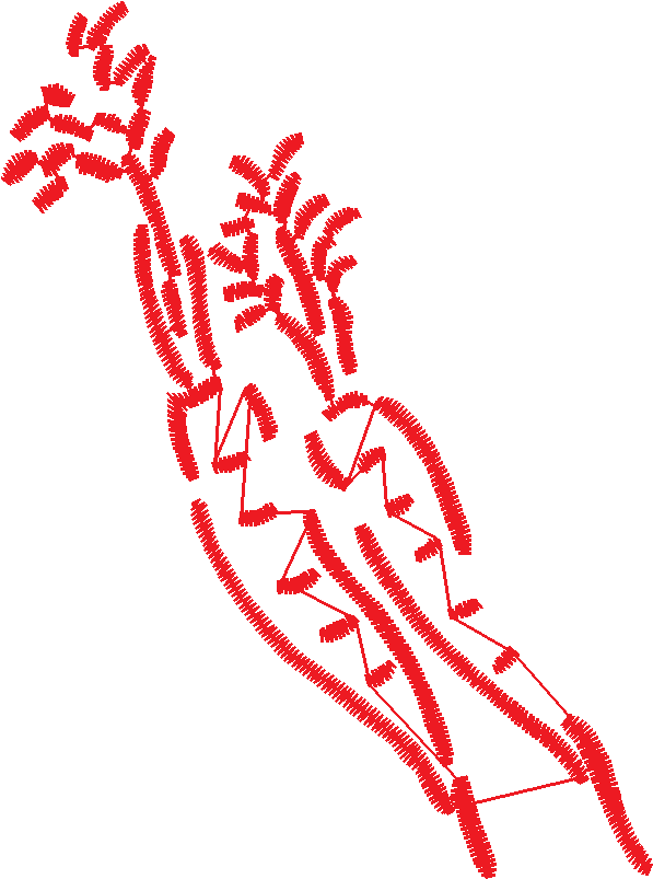 Fruit & Vegetables 17  (45)