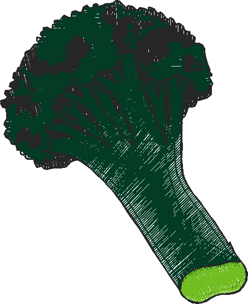 Fruit & Vegetables 17  (46)