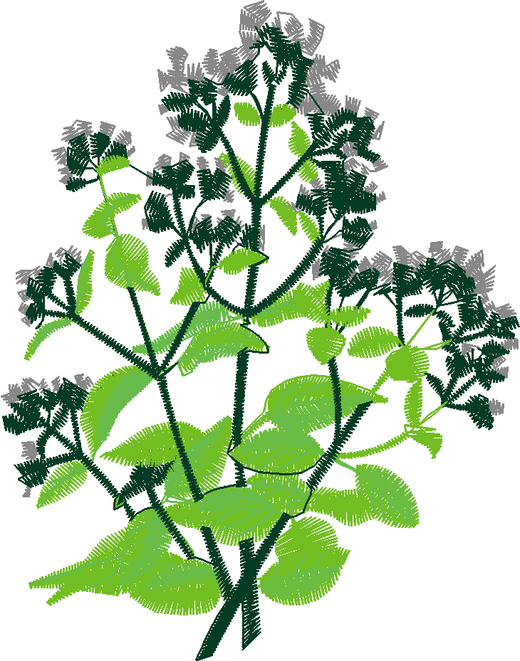 Fruit & Vegetables 17  (6)