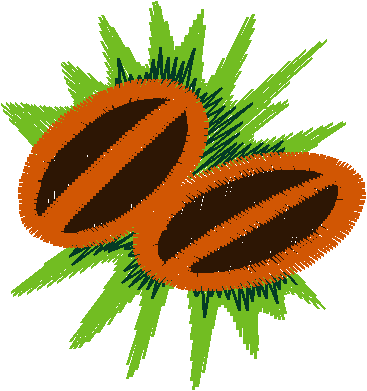 Fruit & Vegetables 17  (64)