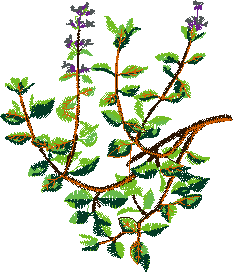 Fruit & Vegetables 17  (7)