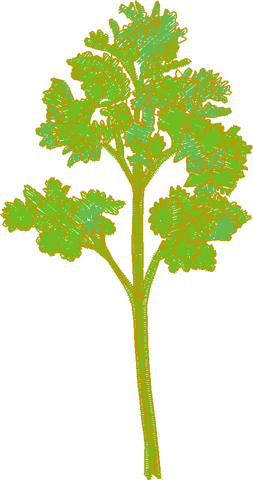 Fruit & Vegetables 17  (8)