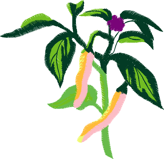 Fruit & Vegetables 17  (83)