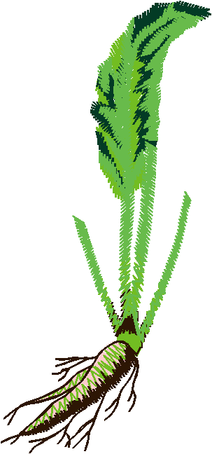 Fruit & Vegetables 17  (84)