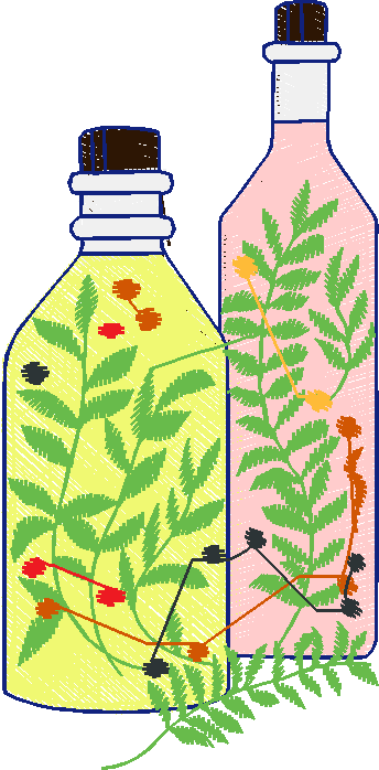 Fruit & Vegetables 17  (87)