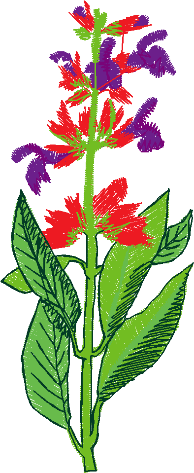 Fruit & Vegetables 17  (9)