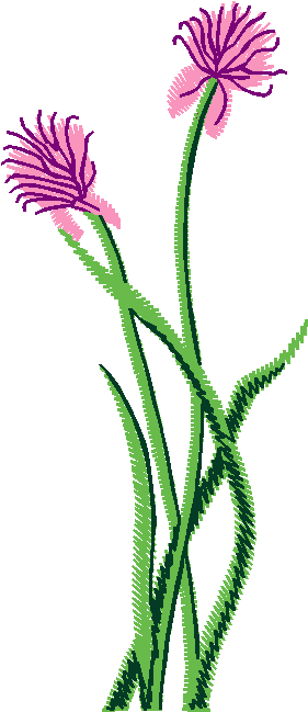 Fruit & Vegetables 17  (90)