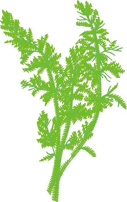 Fruit & Vegetables 17  (91)