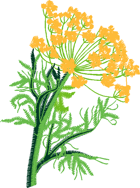 Fruit & Vegetables 17  (92)