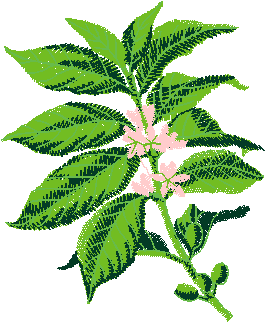 Fruit & Vegetables 17  (93)