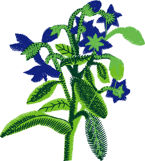 Fruit & Vegetables 17  (94)