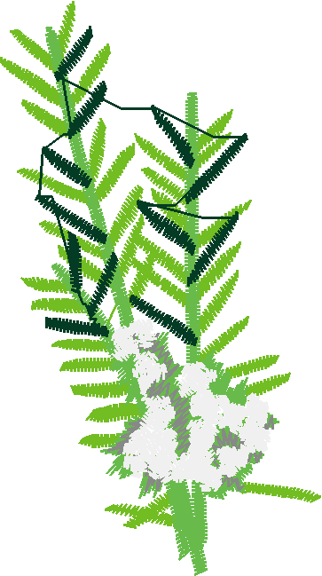 Fruit & Vegetables 17  (97)