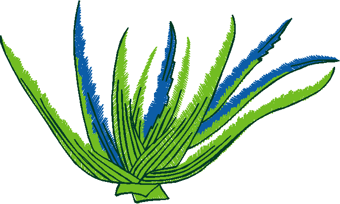 Fruit & Vegetables 18  (1)