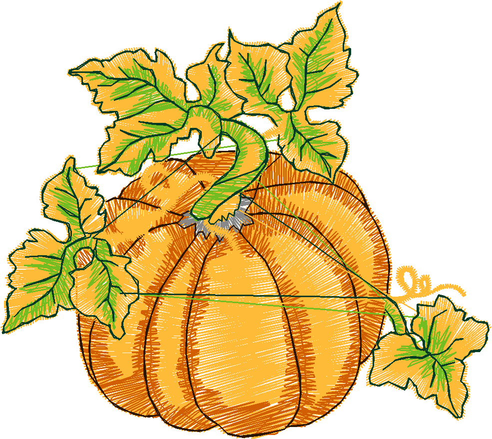 Fruit & Vegetables 18  (13)