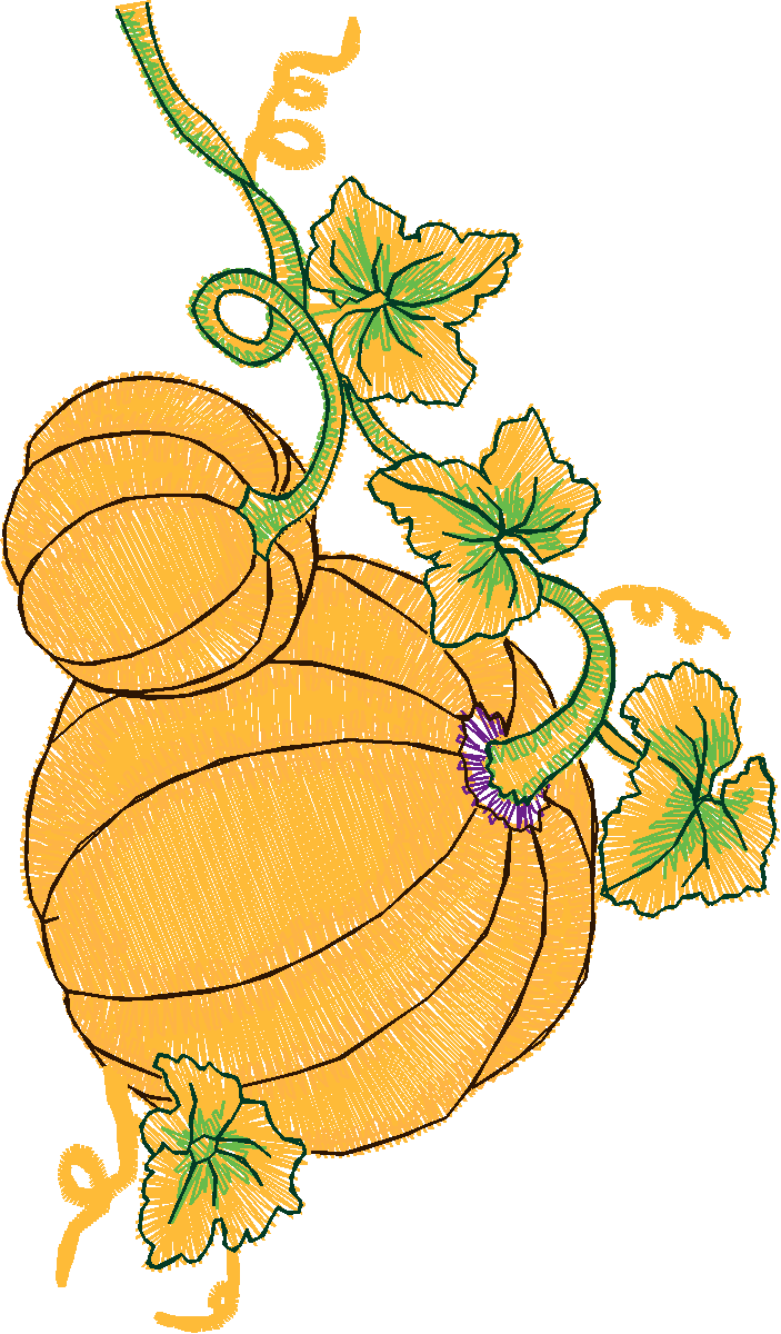 Fruit & Vegetables 18  (15)