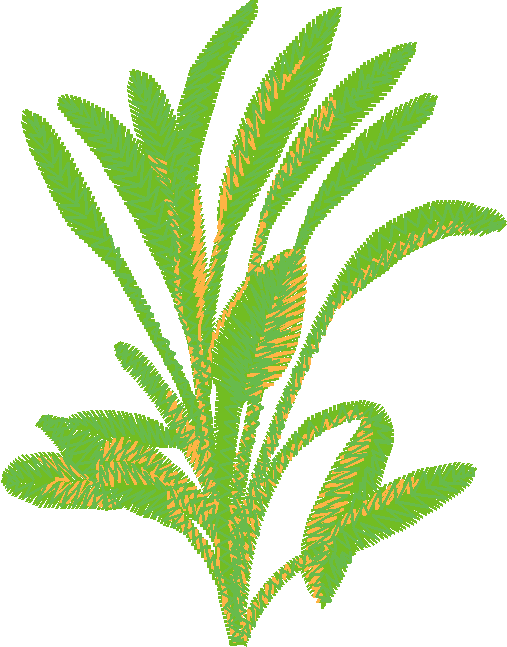 Fruit & Vegetables 18  (2)