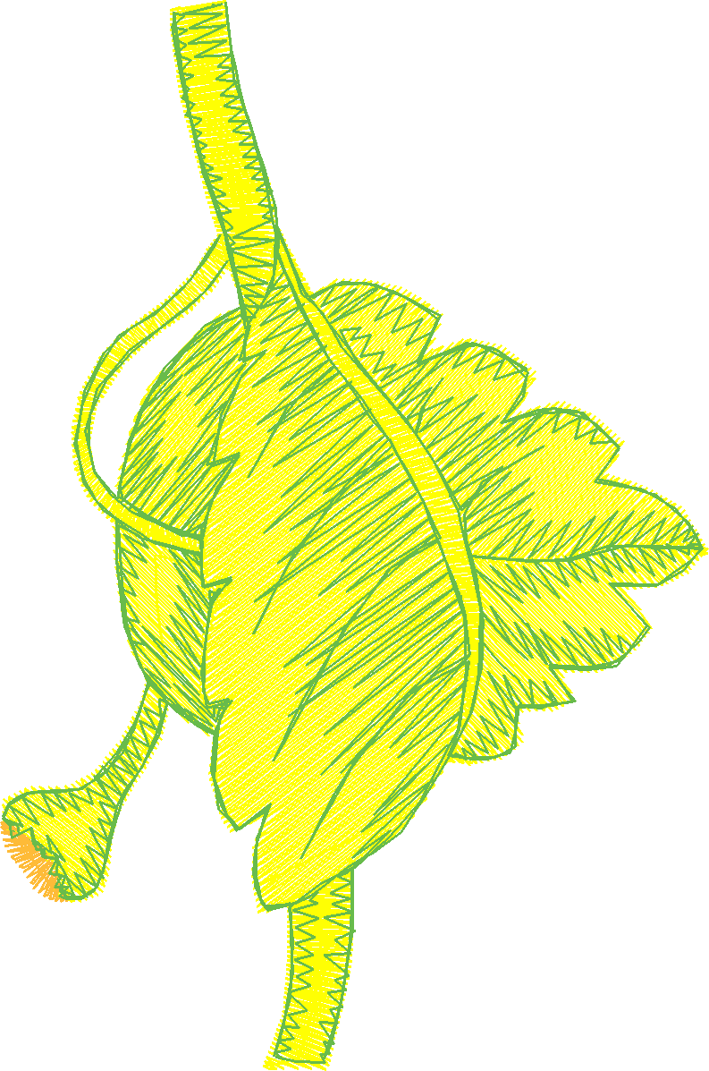 Fruit & Vegetables 18  (20)