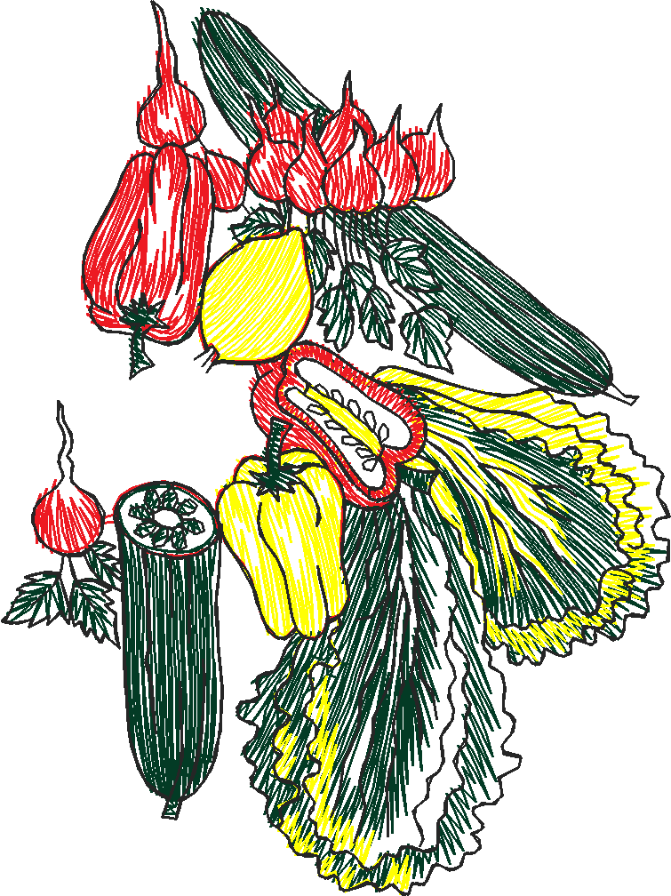 Fruit & Vegetables 18  (28)