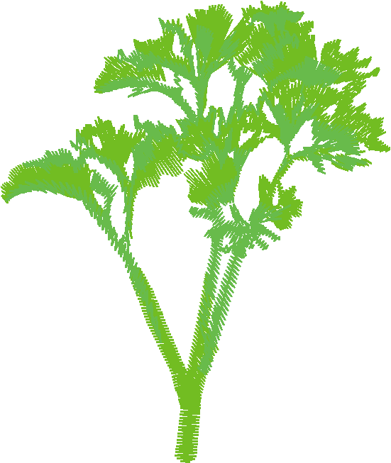 Fruit & Vegetables 18  (3)