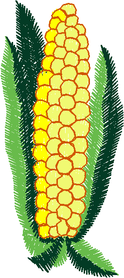 Fruit & Vegetables 18  (32)