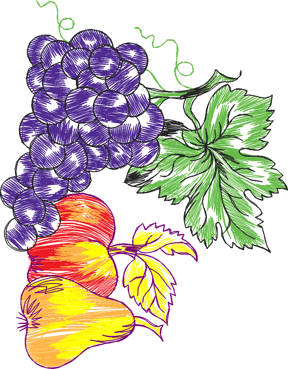 Fruit & Vegetables 18  (34)