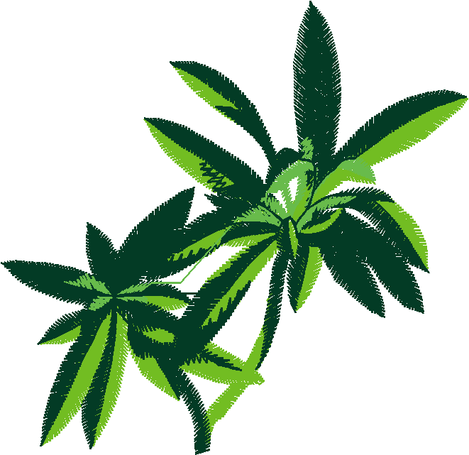 Fruit & Vegetables 18  (5)